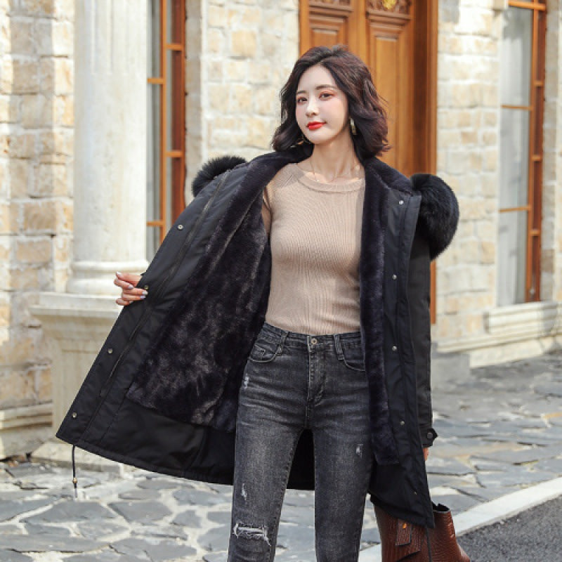 Winter coat cotton-padded jacket